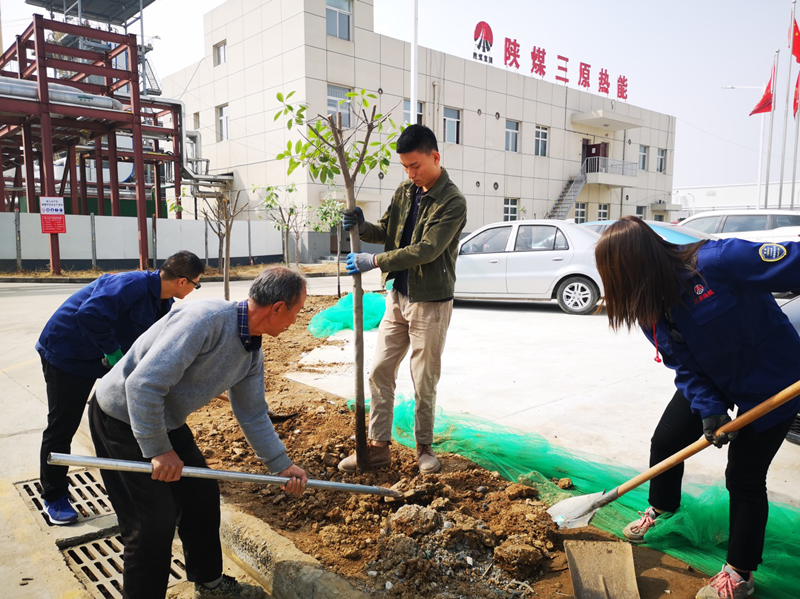 三原植樹(shù)-配圖1.png 三原植樹(shù)-配圖1.png