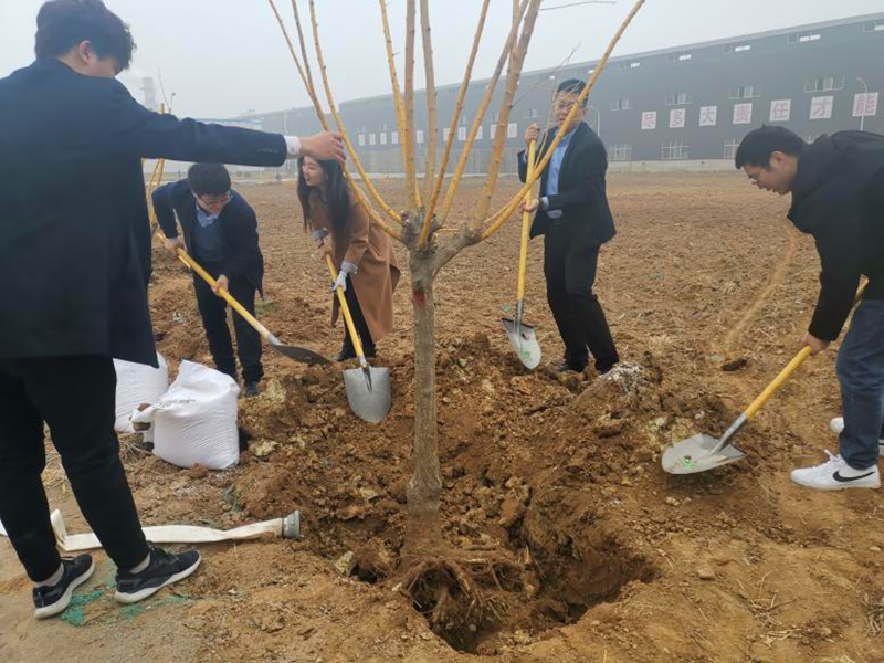 高邑植樹(shù)-配圖1.png 高邑植樹(shù)-配圖1.png