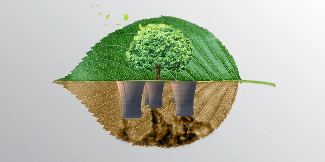 兩會(huì )觀(guān)察 | 城市面臨低碳大考，代表委員怎么看？