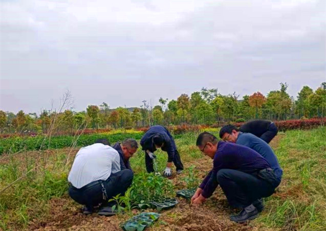 仙桃小菜園-配圖1.png 仙桃小菜園-配圖1.png