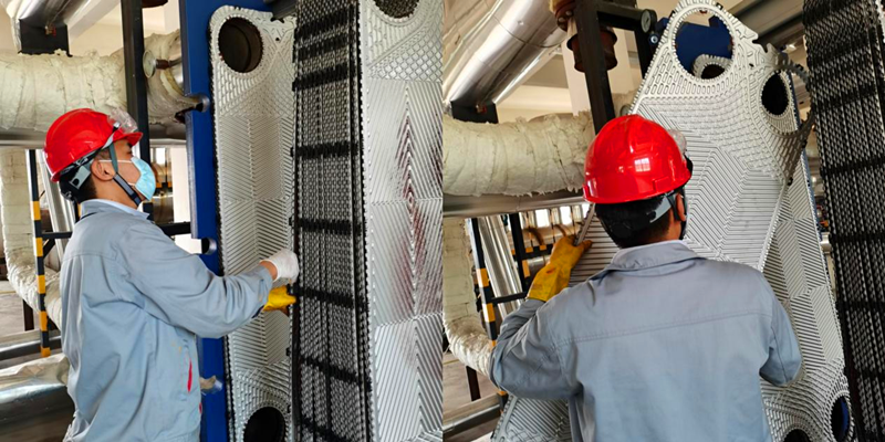 綻放在夏季的“小火苗們”2.png 綻放在夏季的“小火苗們”2.png