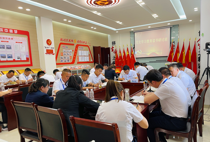 神木分公司舉辦黨史學(xué)習教育第四期讀書(shū)研討
