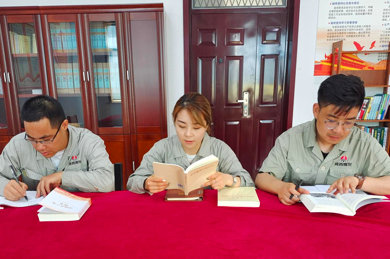 寧夏鑫爾特公司黨支部開(kāi)展黨史學(xué)習研討會(huì )1.png 寧夏鑫爾特公司黨支部開(kāi)展黨史學(xué)習研討會(huì )1.png