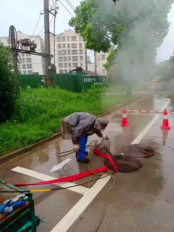 仙桃梅雨.png 仙桃梅雨.png
