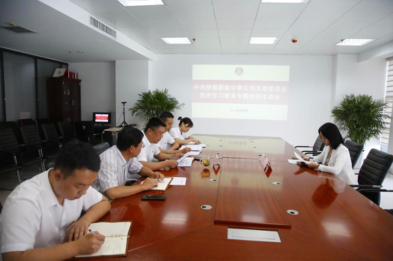 中泰公司黨支部召開(kāi)黨史學(xué)習教育專(zhuān)題組織生活會(huì )