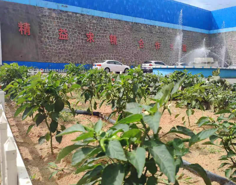 深入學(xué)習貫徹習近平生態(tài)文明思想 推動(dòng)選煤公司綠色高質(zhì)量發(fā)展