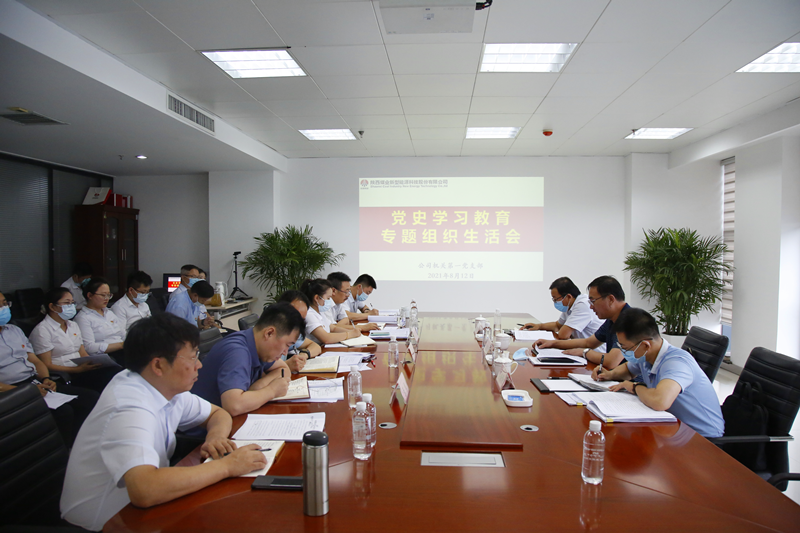 陜煤集團黨史學(xué)習教育第三巡回指導組到新型能源指導黨史學(xué)習教育專(zhuān)題組織生活會(huì )