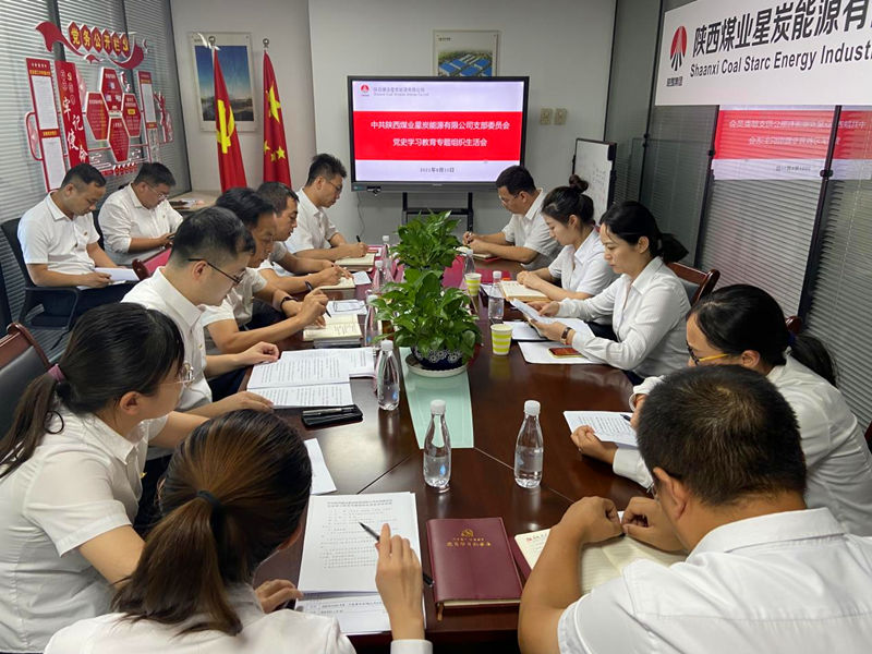 星炭公司黨支部召開(kāi)黨史學(xué)習教育專(zhuān)題組織生活會(huì )-配圖.png 星炭公司黨支部召開(kāi)黨史學(xué)習教育專(zhuān)題組織生活會(huì )-配圖.png