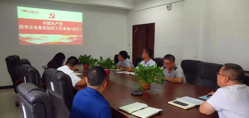 仙桃公司黨支部對《中國共產(chǎn)黨國有企業(yè)基層組織工作條例(試行)》進(jìn)行再學(xué)習再落實(shí)