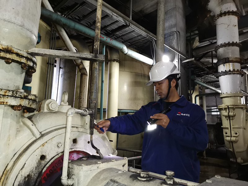 圖片 4.png 圖片 4.png