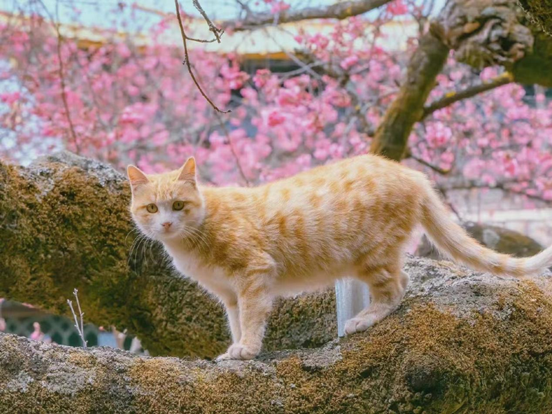 圖片 14.png