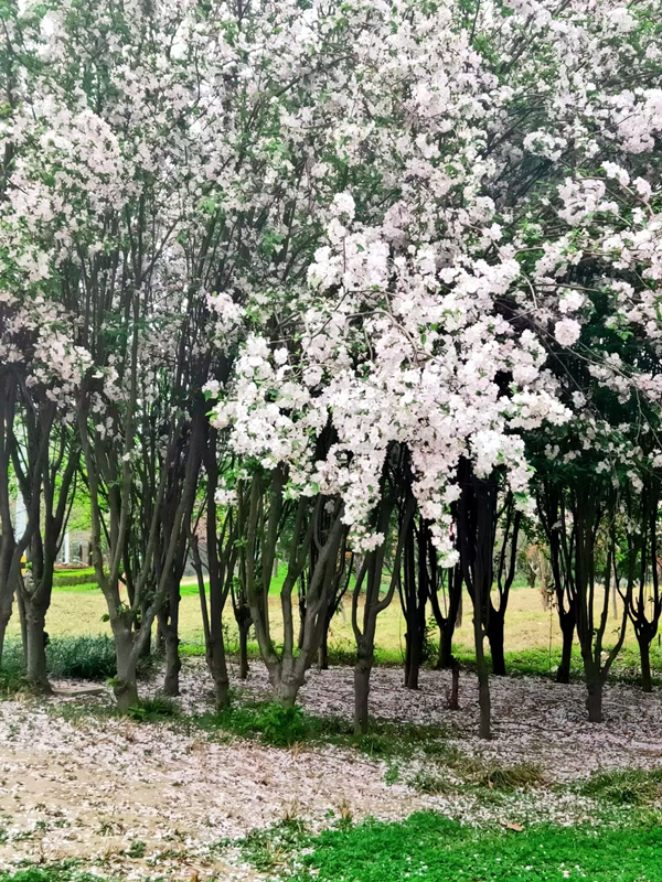 圖片 2(1).png 圖片 2(1).png