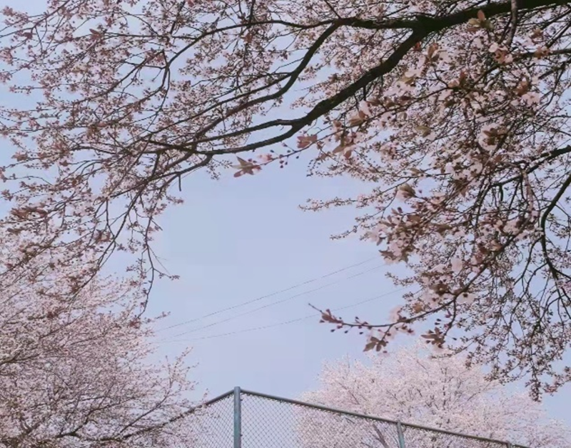 圖片 2.png 圖片 2.png