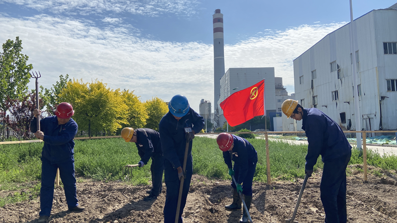 神木分公司天津華苑制粉中心團支部開(kāi)展“勤懇耕耘 勞動(dòng)光榮”主題團日活動(dòng)
