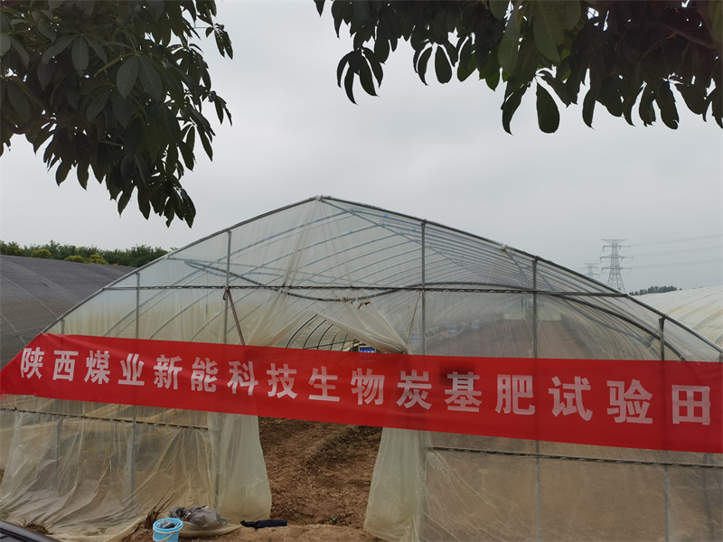 三原公司：沃土肥田，生物質(zhì)炭基肥田間試驗進(jìn)行時(shí)-1.png
