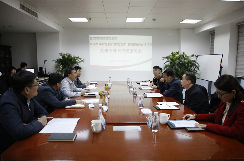 集團公司財務(wù)共建“結對子”座談交流會(huì )_副本.jpg 集團公司財務(wù)共建“結對子”座談交流會(huì )_副本.jpg
