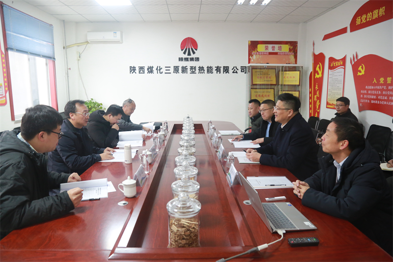 省國資委、省財政廳領(lǐng)導蒞臨新型能源三原公司調研指導工作.png