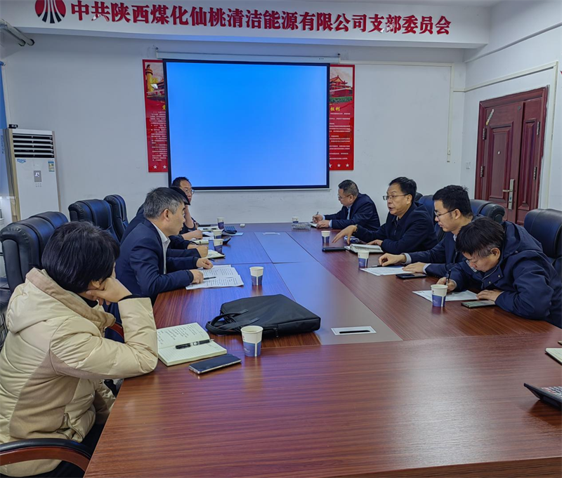 公司副總經(jīng)理史明章到仙桃公司調研指導.png