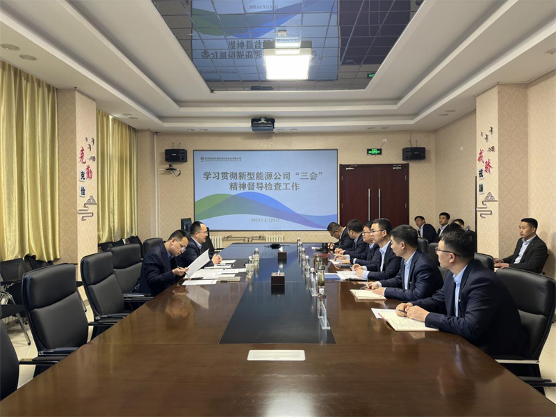 新型能源公司“三會(huì )”精神工作督導2.png