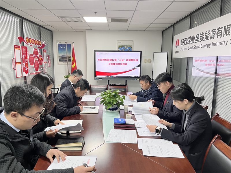 新型能源公司“三會(huì )”精神工作督導5.png 新型能源公司“三會(huì )”精神工作督導5.png