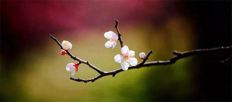 二月的風(fēng)2.jpg 二月的風(fēng)2.jpg