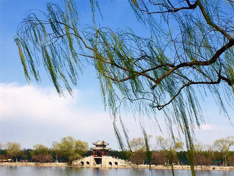 二月的風(fēng).png 二月的風(fēng).png