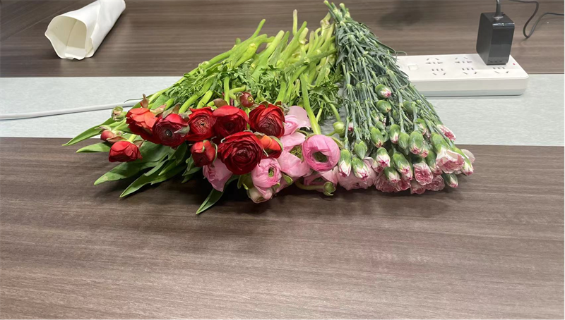 公司各單位開(kāi)展“三八”婦女節系列活動(dòng)