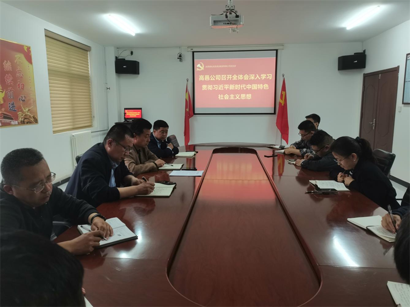 (一)公司所屬各單位迅速傳達學(xué)習新型能源公司主題教育動(dòng)員會(huì )精神