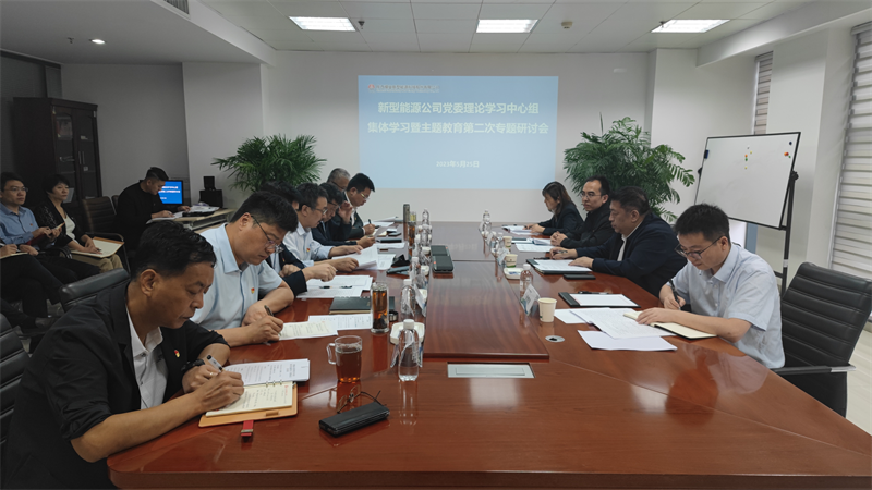 新型能源公司召開(kāi)黨委理論中心組學(xué)習暨主題教育第二次專(zhuān)題研討會(huì )