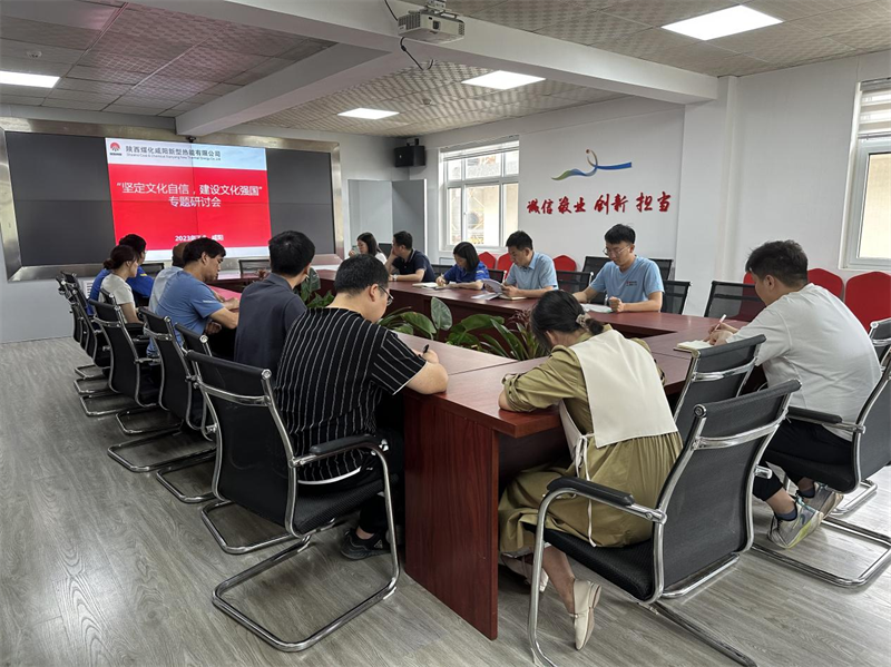 (三)公司所屬各單位開(kāi)展堅定文化自信 建設文化強國專(zhuān)題研討