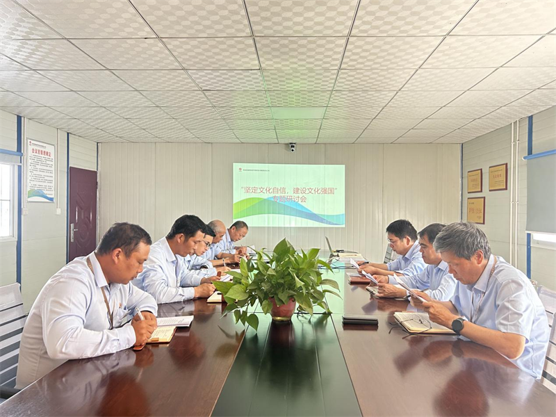 (三)公司所屬各單位開(kāi)展堅定文化自信 建設文化強國專(zhuān)題研討