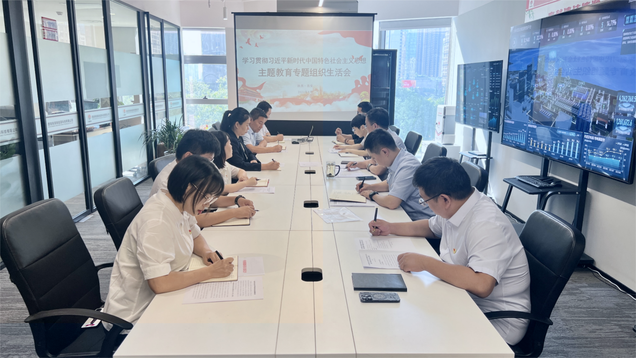公司各基層黨組織召開(kāi)主題教育專(zhuān)題組織生活會(huì )（一）