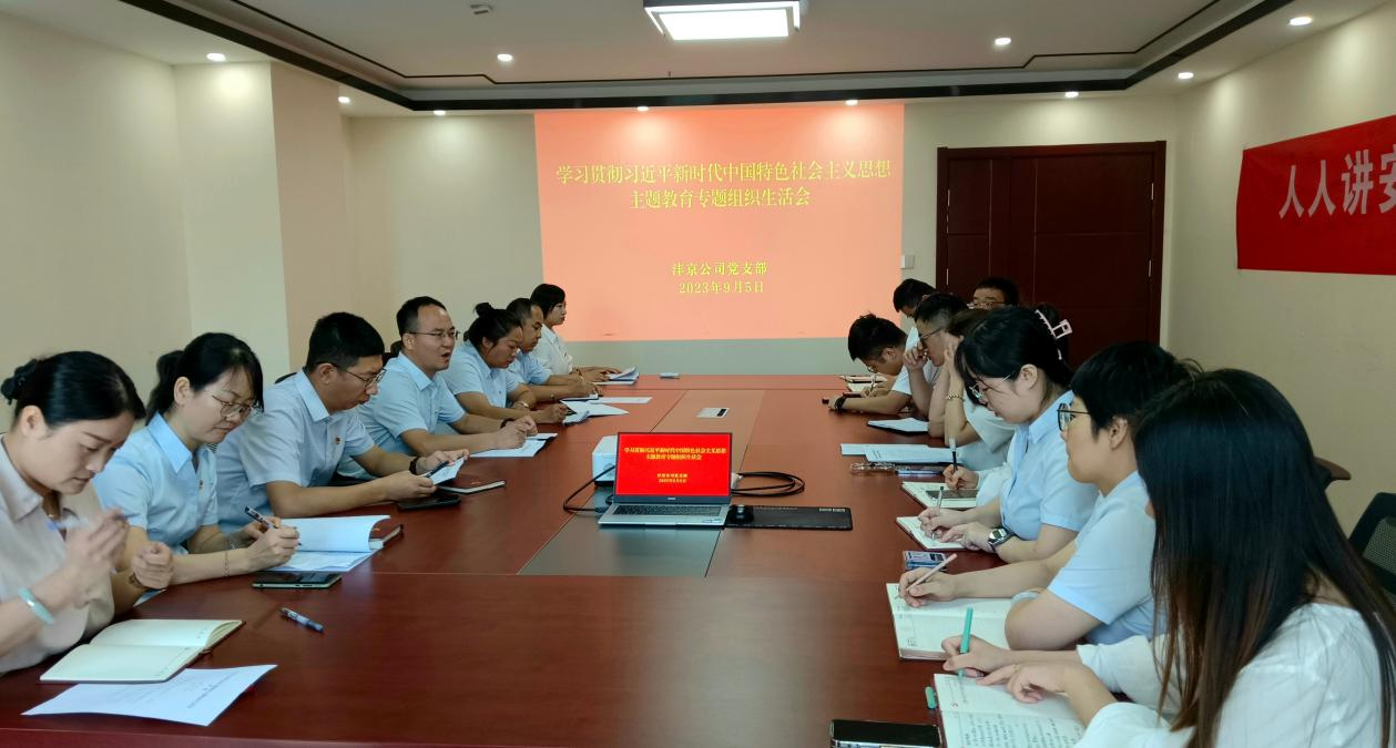 公司各基層黨組織召開(kāi)主題教育專(zhuān)題組織生活會(huì )（一）