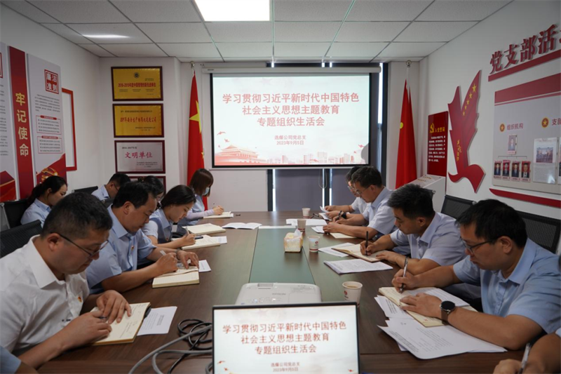 公司各基層黨組織召開(kāi)主題教育專(zhuān)題組織生活會(huì )（二）