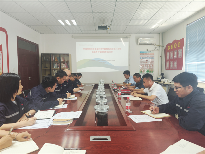 公司各基層黨組織召開(kāi)主題教育專(zhuān)題組織生活會(huì )（二）
