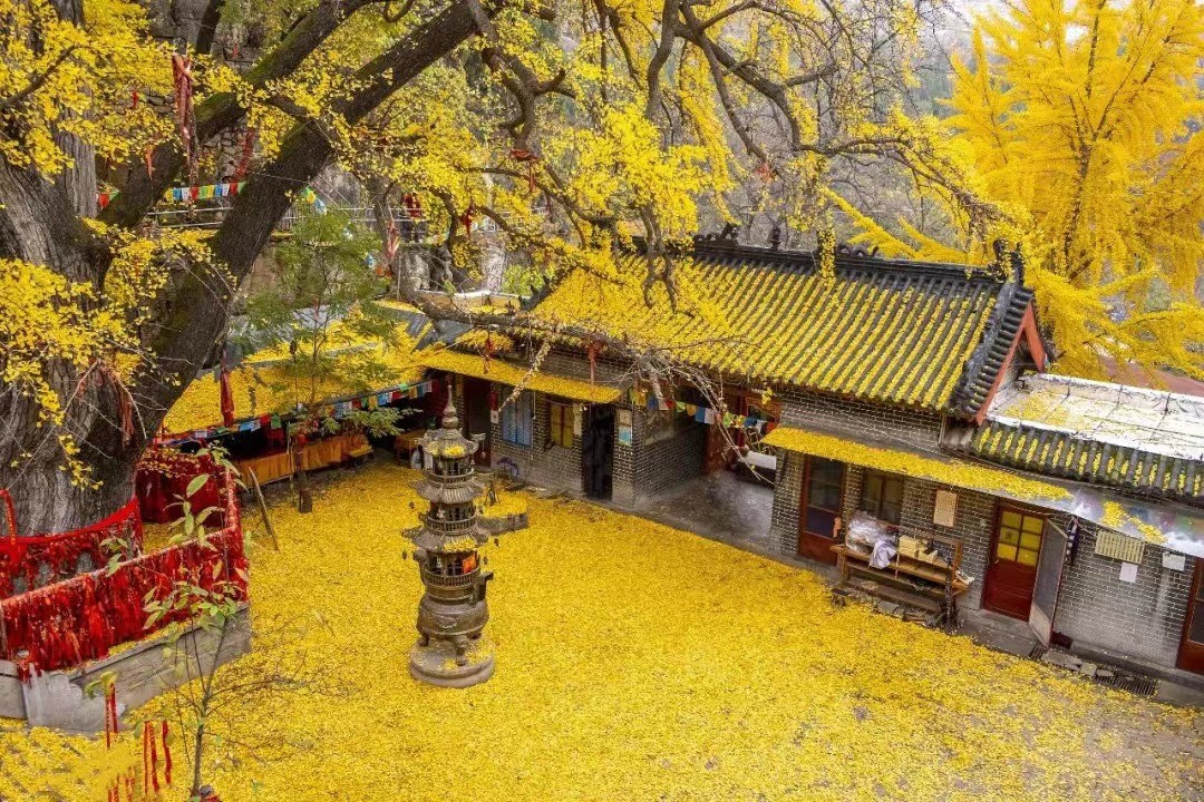 高偉 詩(shī)歌——《秋雨》