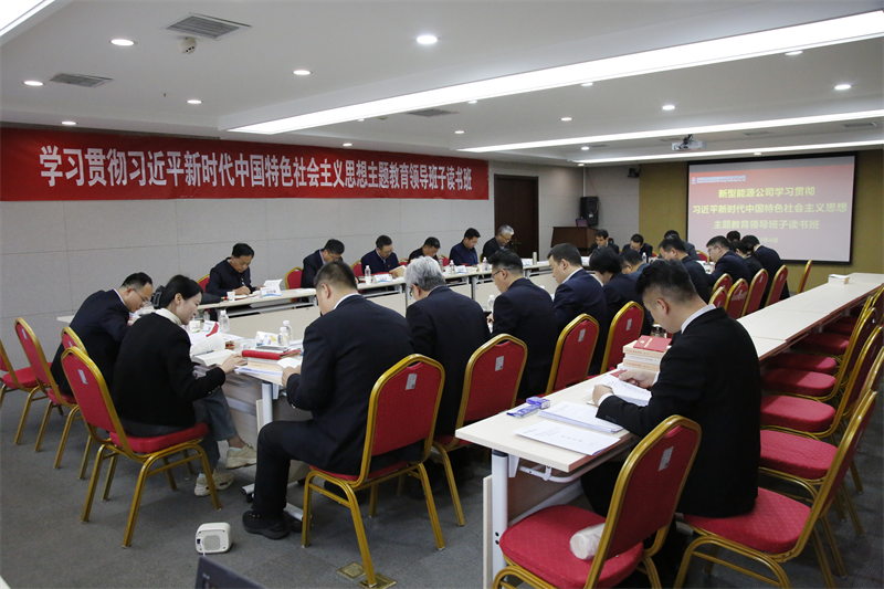 新型能源公司：黨建引領(lǐng)增動(dòng)能 凝心聚力促發(fā)展