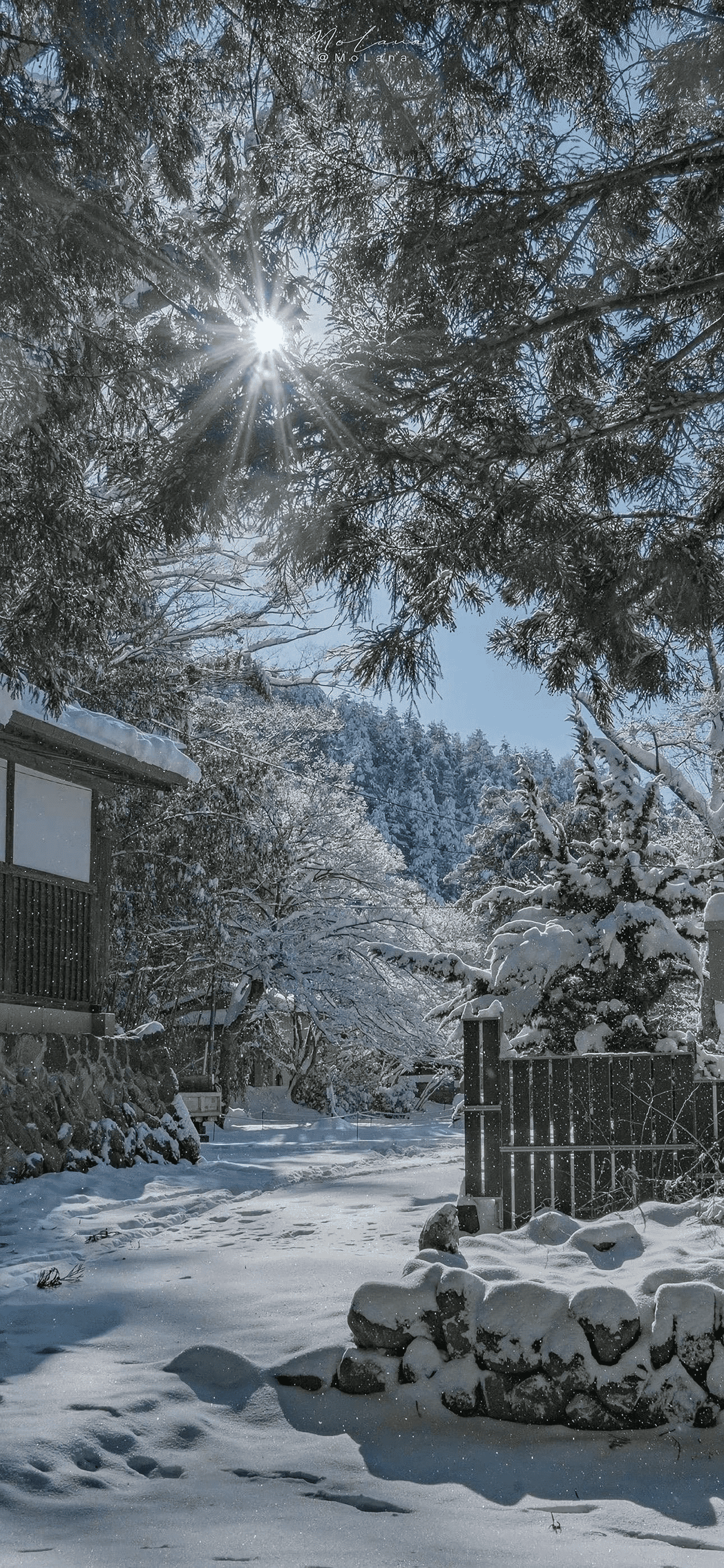 吉富平 詩(shī)歌——《冬》