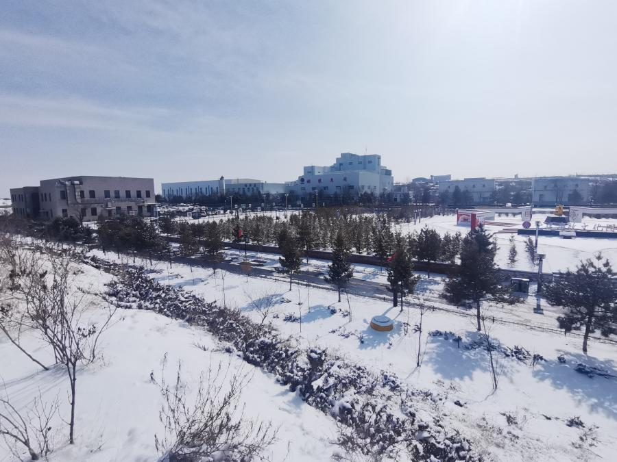 康維誠 散文——《雪霽向“春”行》