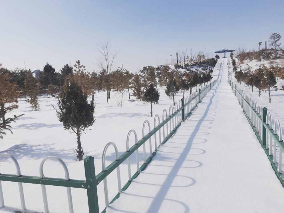 康維誠 散文——《雪霽向“春”行》