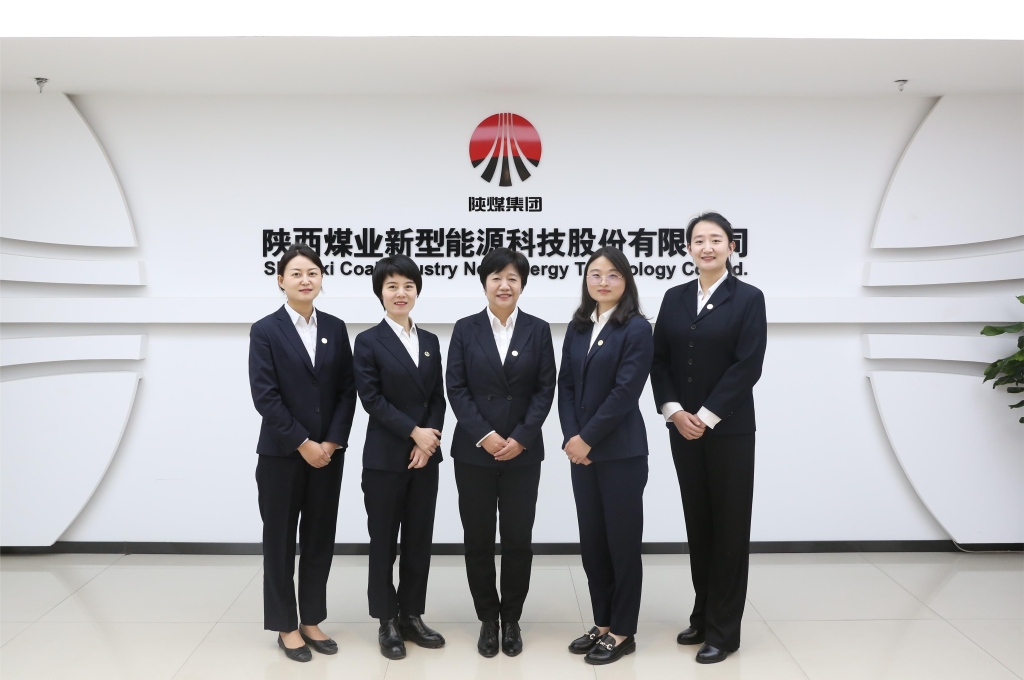 奮進(jìn)陜煤| 新型能源公司企業(yè)管理部榮獲“西安市巾幗文明崗”稱(chēng)號