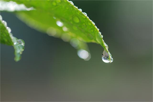 肖倩倩 詩(shī)歌——《四月的雨》