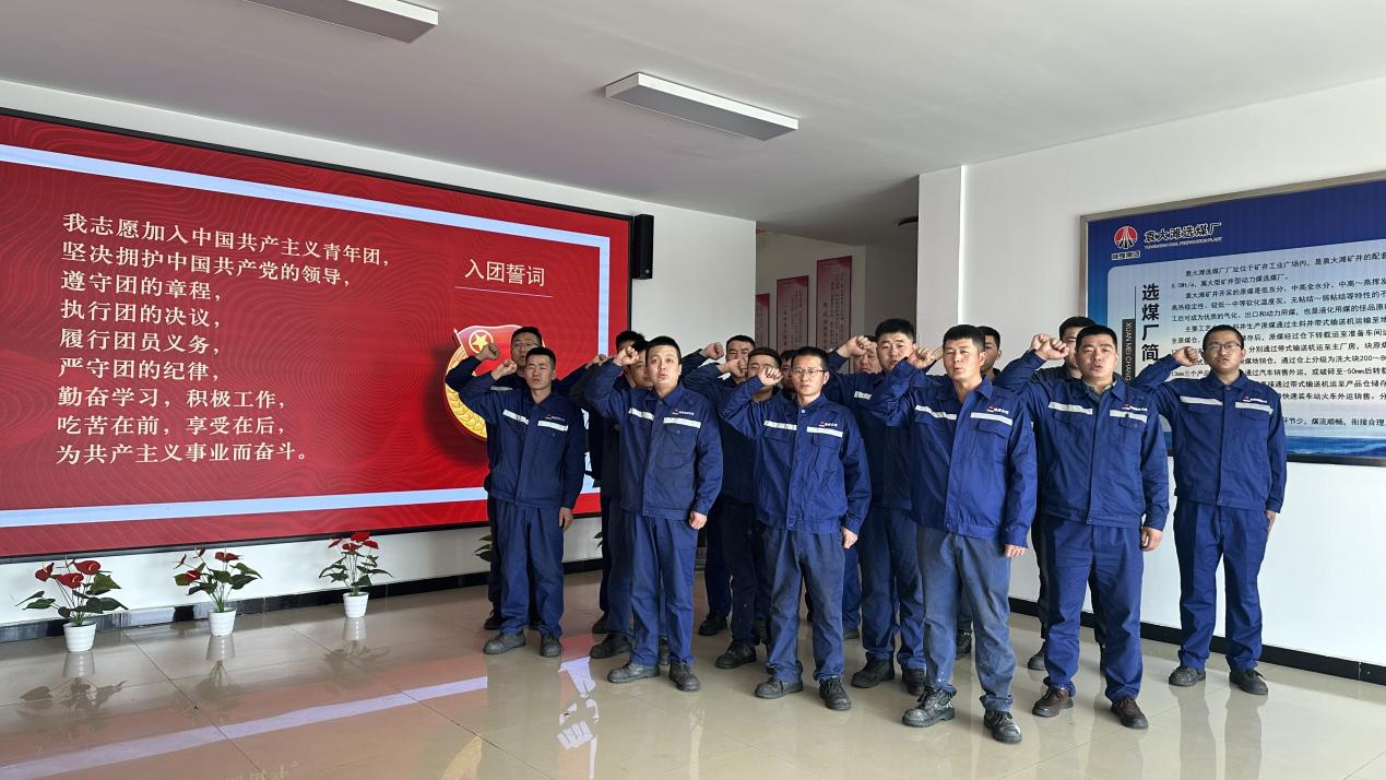 新型能源公司廣泛開(kāi)展五四青年節系列主題團日活動(dòng)