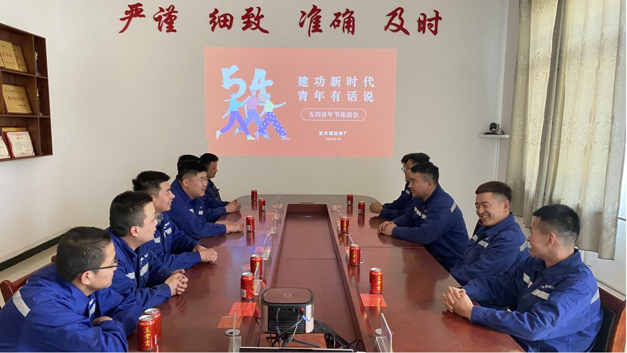 新型能源公司廣泛開(kāi)展五四青年節系列主題團日活動(dòng)