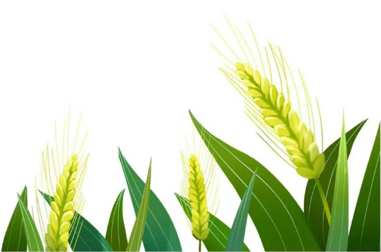 時(shí)東慧 散文——《節氣小滿(mǎn)，時(shí)光輕舞》