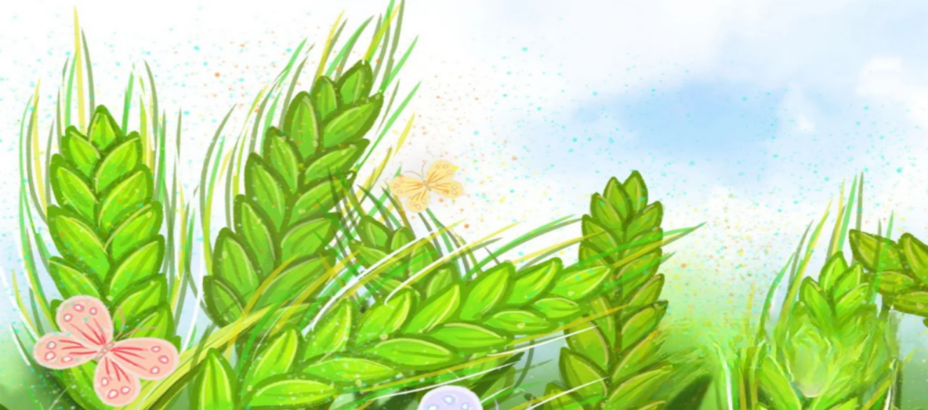 時(shí)東慧 散文——《節氣小滿(mǎn)，時(shí)光輕舞》
