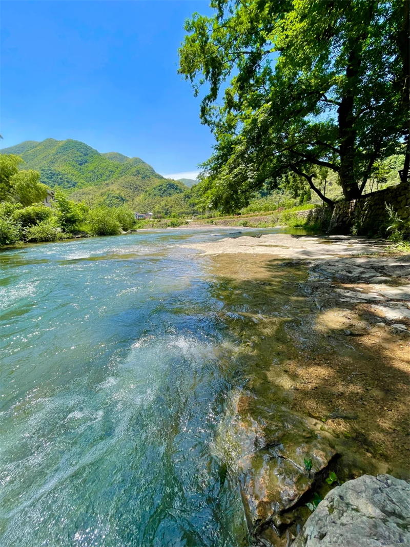 詩(shī)歌 姚正——《夏至未至》