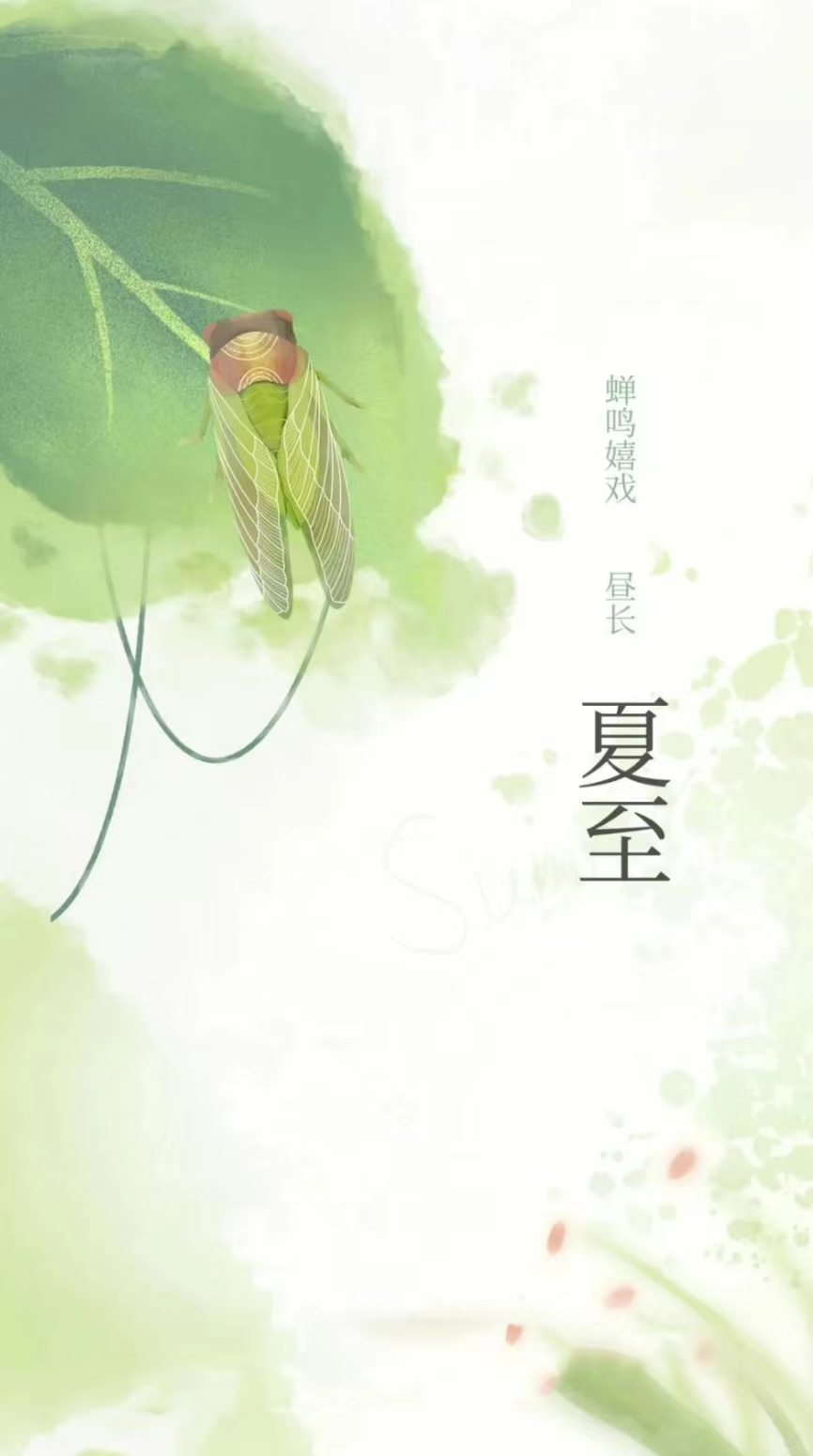 詩(shī)歌 黃凌雲——《夏至而至》